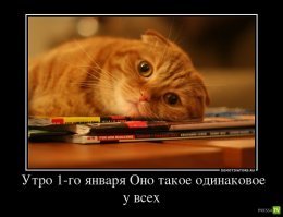 Смешные картинки
