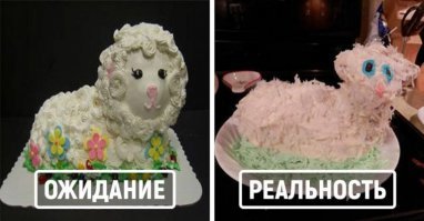 20 лучших произведений кулинарного искусства за 2017 год