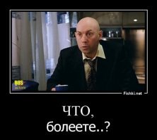 Собака прославилась в интернете спустя 4 года после своей смерти