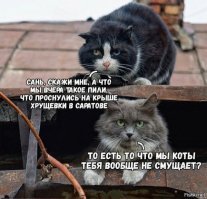 Смешные картинки