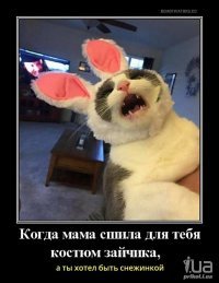 И смех и грех: почему не стоит ходить на новогодние утренники