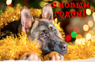 1 января - день, которого нет