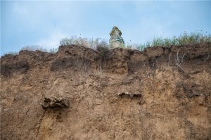 ИХ не приняла земля и ОНИ безмолвно выходят