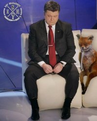 Собака прославилась в интернете спустя 4 года после своей смерти