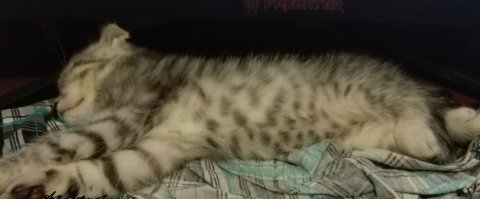 Вот мой кошмарик 1 месяц