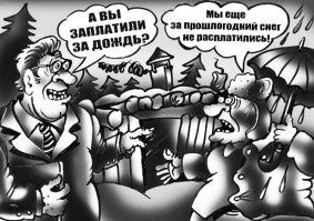 Чьи в лесу шишки