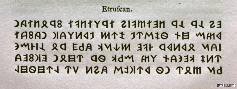 Вы себе представляете этрусский язык? Он не до конца расшифрован и у него крайне своеобразные правила, так, например, в нем грамматически допустимо записывать одно и то же слово разными способами. Из расшифрованных слов, для примера:
клан - сын
тул - камень
тафна - кружка
пат(х)а - тарелка
фалату - небо
авил - год
Где тут что похоже на русский?
И сами этруски себя называли Расна или Расена. Этрусками их назвали римляне.
Я для интереса приложил этрусский текст, попробуйте почитать..

Касаемо пищи - это заимствование, изначально было старославянское слово "питиа", которое, возможно, было заимствованно у греков (πίσσα). И изначально означало вид хлеба. Можете загуглить "Пита" и увидите о чем речь. И одна из теорий приписывает "пицце" те же корни.

По поводу санскрита. Какие 7 тысяч лет? Ему хорошо если 4 тысячи есть как языку. Как письменность он вообще представляет собой совокупность большого числа диалектов. И, для интереса, я приложил видео, понимаете 80%?

PS откуда вообще у Вас такие идеи?