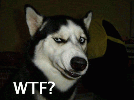 Смешные комментарии и высказывания из социальных сетей