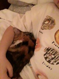 не воткнулась же, по самые прохоря
