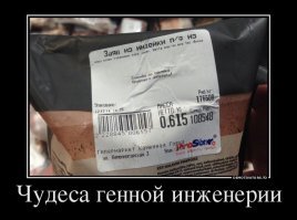 О сколько нам открытий чудных,готовит просвещенья ум...