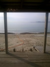 Каждый год после праздников паримся.
Это прошлогодние.