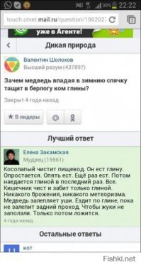 Как выглядит берлога медведя
