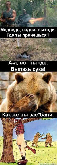 Как выглядит берлога медведя