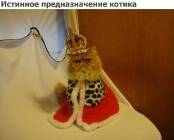 Свежая подборка демотиваторов, которые поднимут вам настроение