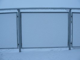 Вдохновляющие работы, созданные самой природой