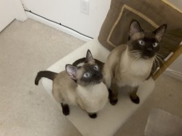 Нашим год.разница - 8 месяцев.