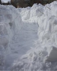 смотри: 2016 г.,Оренбургская обл.,г. Орск