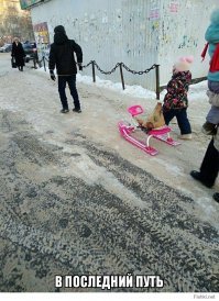 Фотоподборка за 04.01.2018