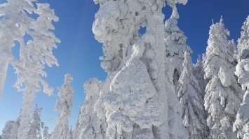 Вдохновляющие работы, созданные самой природой