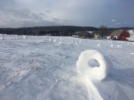 Вдохновляющие работы, созданные самой природой