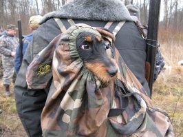 Россия, немоё