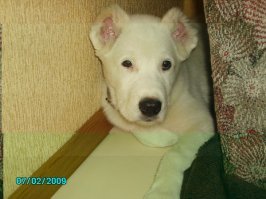 у меня тоже есть служивый  .
на дату не смотреть )))