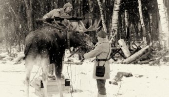 ... боевые лоси в финскую компанию :)