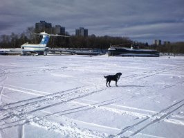 Рядом живу, но никогда внутри не была. Этой мой собакен на фоне подлодки.