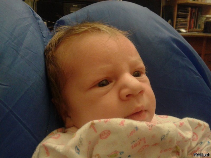 После роддома; 4 месяца; 8 месяцев.