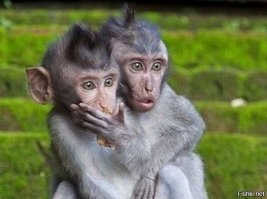 Американка получила пулю в прямом эфире