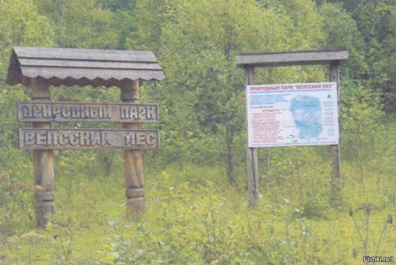 Заповедник Вепсский лес. Тут тоже жутковато и мобильной связи нет в 200 км от Питера и дорог нет.