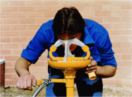 Что в вымени тебе моем?