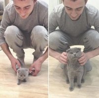 У меня второй кот такой же, только в два раза толще. Злой как черт , шипит все время, прячется и постоянно мучит второго кота. А еще кусается и царапается. Может кому нужен? За 4 года не изменился по характеру вообще, очень самодовольный наглый толстый говнюк.