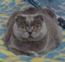 Меня зовут Ричард. Просто царь. Мне 16 лет.