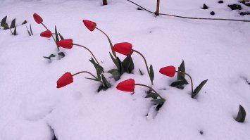 24 апреля 2017 года в Приднестровье