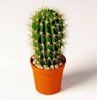 неучи! самую главную деталь компьютера забыли - защиту от вредных лучей, и тогде не придется часто проветривать помещение