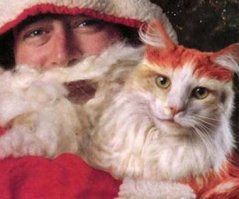 Вот крутой Дед Мороз, спецом для детского сада.