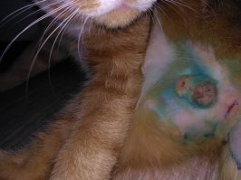 Мы вчера тоже посетили...