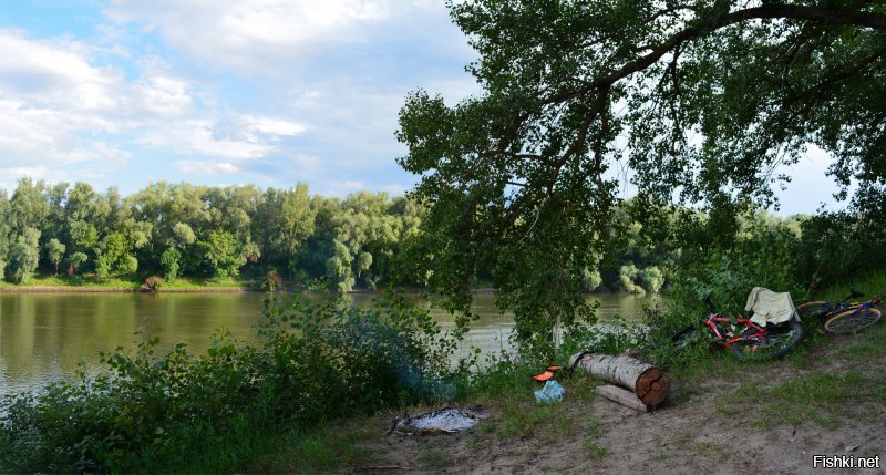Не гневи бога. Климат у вас прекрасный. Я лето провел -- полжизни так не кайфовал. Даже когда ливень -- все равно комфортно. В остальном, теплынь, гуляй хоть днем, хоть ночью. Что я, собственно, и делал. А в Днестре купался даже в ноябре однажды.