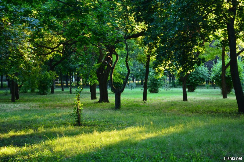 Не гневи бога. Климат у вас прекрасный. Я лето провел -- полжизни так не кайфовал. Даже когда ливень -- все равно комфортно. В остальном, теплынь, гуляй хоть днем, хоть ночью. Что я, собственно, и делал. А в Днестре купался даже в ноябре однажды.
