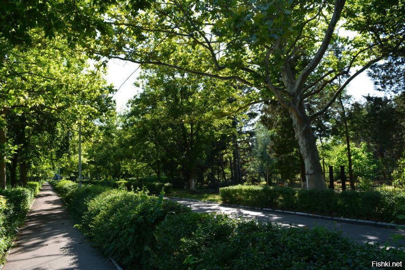 Не гневи бога. Климат у вас прекрасный. Я лето провел -- полжизни так не кайфовал. Даже когда ливень -- все равно комфортно. В остальном, теплынь, гуляй хоть днем, хоть ночью. Что я, собственно, и делал. А в Днестре купался даже в ноябре однажды.