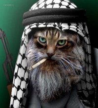 Больше похож на...