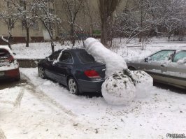 35 позитивных картинок, которые скрасят ваш день