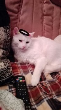 Нашего недано сфотали.
Практически негатив)))