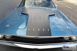 А вот какой красавчик попался мне на дроме: