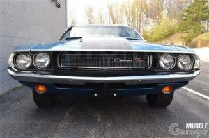 А вот какой красавчик попался мне на дроме: