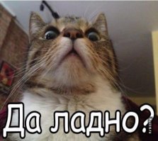 35 позитивных картинок, которые скрасят ваш день