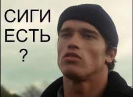 Cолим сига в тузлуке