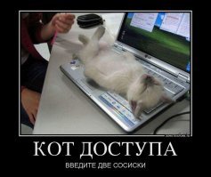 35 позитивных картинок, которые скрасят ваш день