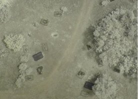 Трупные фермы.